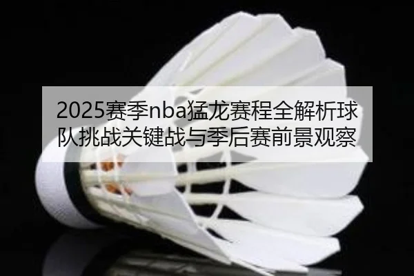 2025赛季nba猛龙赛程全解析球队挑战关键战与季后赛前景观察